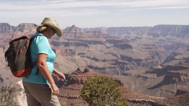 Vandrare går till kanten av Grand Canyon och beundrar det vackra landskapet — Stockvideo