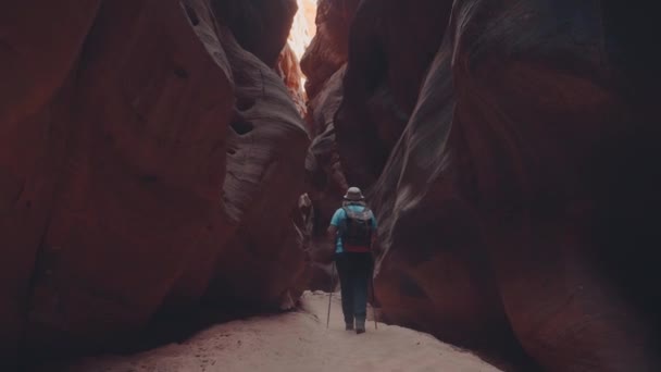 Hiker Hiking On Dry Riverbed In Deep Slot Canyon With Orange Smooth Sandstone — 图库视频影像