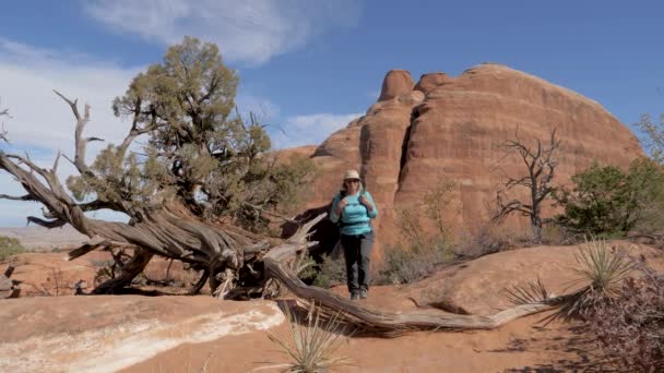 Wandelaar wandelt door de woestijn tussen sinaasappelrotsen stopt en kijkt rond — Stockvideo