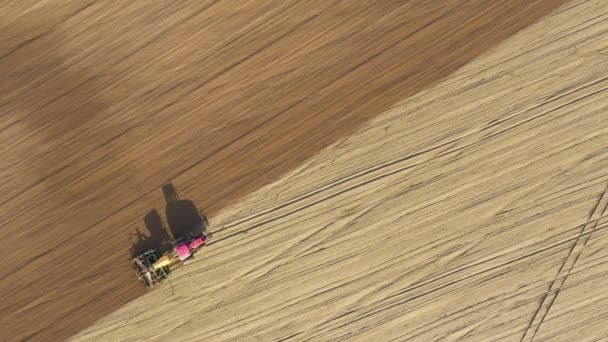 農業分野で穀物の種子を植えるトラクター空中トップビュー — ストック動画