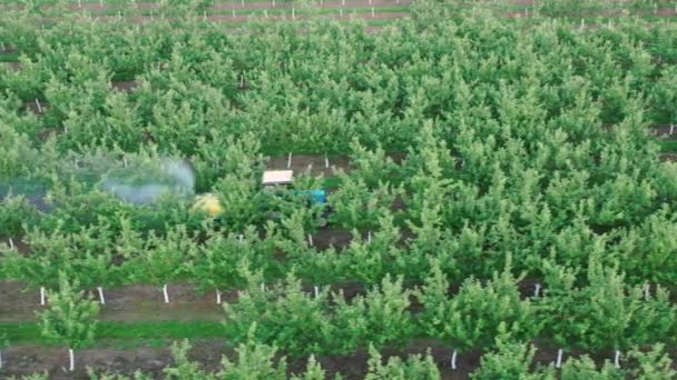 Trattore spruzzando alberi di mele in giardino utilizzando uno spruzzatore erbicidi e pesticidi — Video Stock