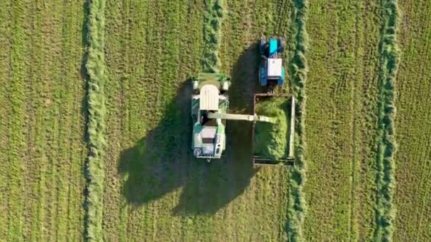 Harvester Mengumpulkan Rumput Mown Dan Tuang ke Traktor Trailer Pemandangan Puncak Aerial — Stok Video