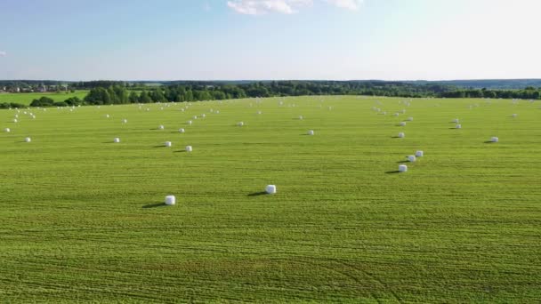 Campo rural com rolos de feno embrulhados em um pacote para Haylage em um dia de verão — Vídeo de Stock