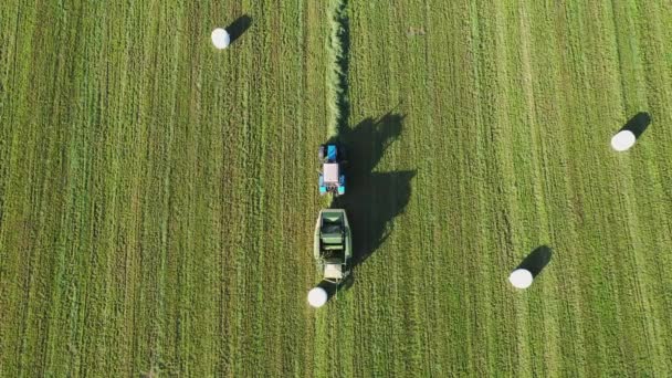 Farm Tractor gira rollos de heno y los envuelve en un paquete blanco para la conservación — Vídeos de Stock