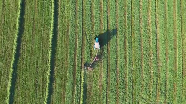 Landbrukstraktor med Tedder Turns Hay på landbruksfeltet for tørking – stockvideo