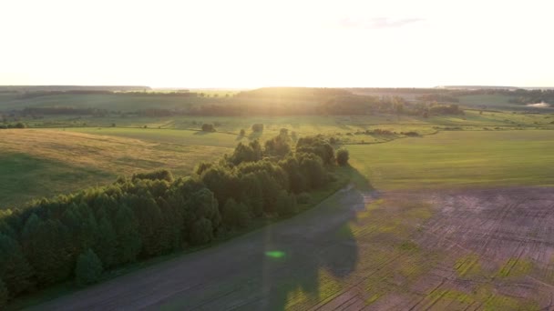 Letecký přes okraj lesa podle zelených kopců a ústí řeky proti západu slunce — Stock video