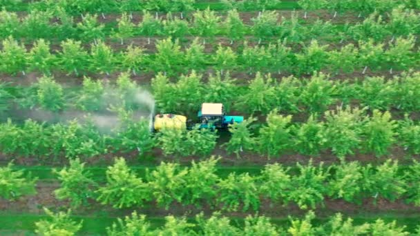 用喷雾器、除草剂和杀虫剂在花园里喷洒苹果树的拖拉机 — 图库视频影像