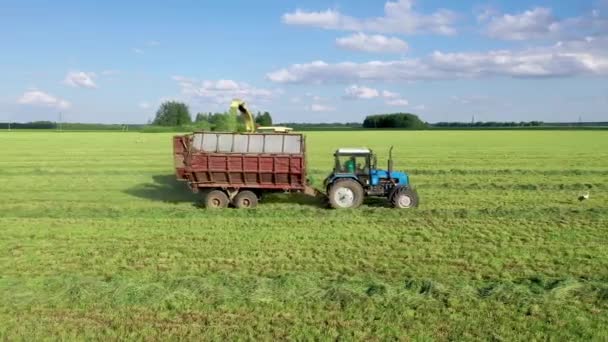 Colheitadeira recolhe grama cortada e derrama-lo em Tractor Trailer vista lateral aérea — Vídeo de Stock