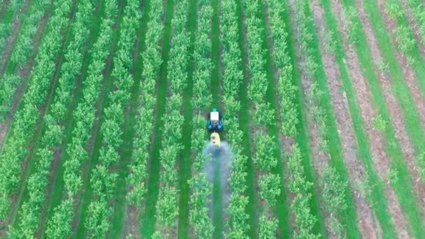 Τρακτέρ ψεκάζει μηλιές στον κήπο με φυτοφάρμακα και φυτοφάρμακα Aerial — Αρχείο Βίντεο