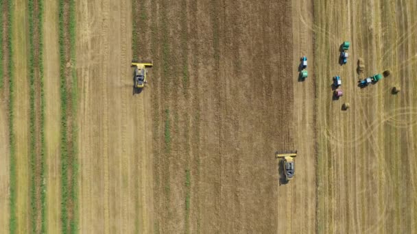 Combine colheitadeiras colheita de trigo na fazenda tratores de campo coletar feno em pilhas — Vídeo de Stock