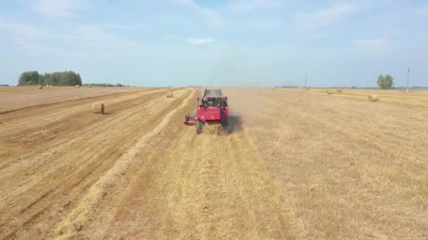 Agricultural Combine Harvester Collect Of Wheat Crops On Rural Field Aerial View — Stock video