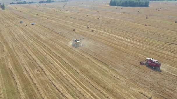 Landbouwcombinaties Oogst Ripe Tarwe Gewassen Op Farm Field Aerial View — Stockvideo