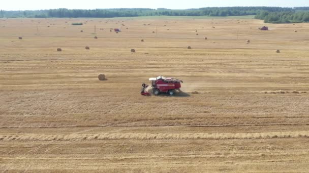 農業分野での収穫熟した小麦の穀物を組み合わせる上での農家航空ビュー — ストック動画