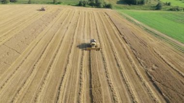 Hasatçılar Altın Renkli Hava Tarlasında Tahıl Topluyor