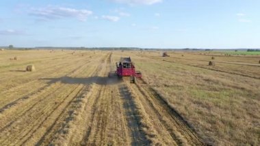 Kırsal Peyzaj Toplayıcıları Tarım Alanında Olgunlaşmış Tahıl Topluyor