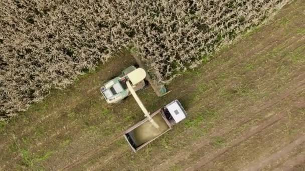 Vista aérea cosechadora cosecha maíz maduro y lo vierte en remolque tractor — Vídeo de stock
