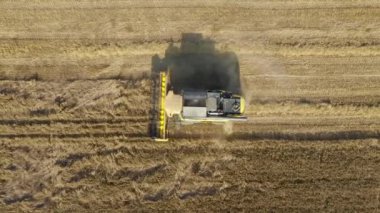 Çiftlik Ürünleri Toplayıcı Olgun Buğday Tanesini Kırsal Alan Havacılık Üst Görünümünde Topluyor