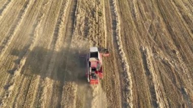 Combine Harvester Collects Ripe Cereal Grain In Agricultural Field Aerial View