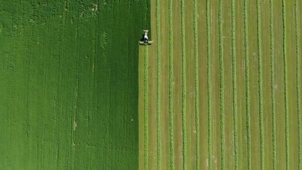 Tractor rural segando hierba verde fresca para heno o ganado alimentación aérea vista superior — Vídeo de stock