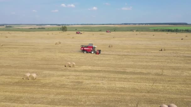 Agricultural Combines Harvest Ripe Wheat Crops On Rural Field Aerial Side View — Stok video