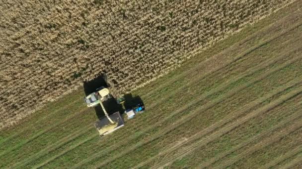 Повітряний вид зверху Комбайн Збирання Стрічковий кукурудза і вливати його в тракторний причіп — стокове відео