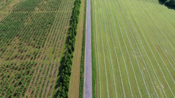 Aéreo sobre a estrada rural que separa o jardim do pomar e o campo agrícola — Vídeo de Stock