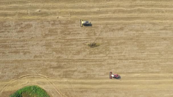 Combine Harvesters Wheat Crop On Farm Field Aerial Top View — стокове відео