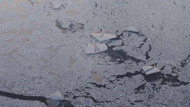 Arctic Ice Field And Glacial Landscape Of Greenland Top Aerial View From Plane — Αρχείο Βίντεο