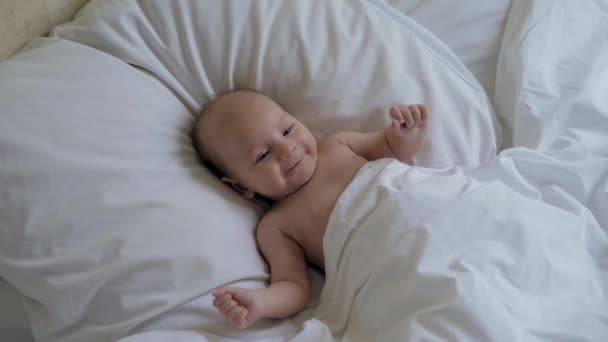 Ritratto di divertente piccolo bambino sdraiato a letto su cuscino sotto coperta e sorridente — Video Stock