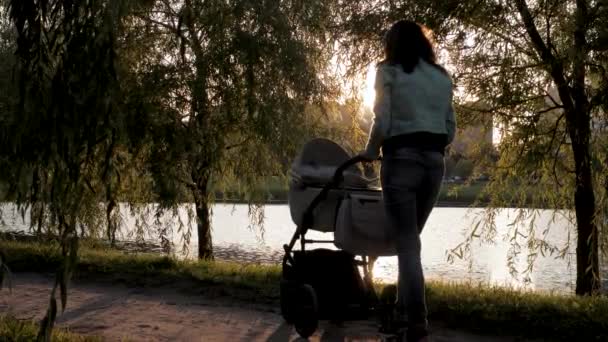 Kvinna i parken gungor Baby barnvagn mot solen strålar vid solnedgången — Stockvideo