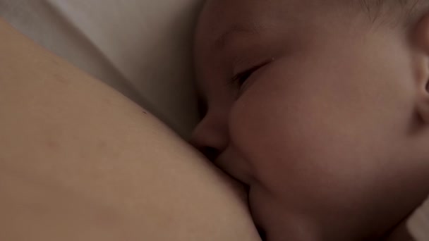 Женщина кормит грудным молоком своего новорожденного малыша вблизи, когда он лежит в постели — стоковое видео