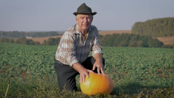 Starszy rolnik z dojrzałą dynią na tle pól uprawnych — Wideo stockowe