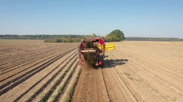 Zbieranie dojrzałych ziemniaków z przyczepą ciągnika jazdy na polu wiejskim z lotu ptaka — Wideo stockowe