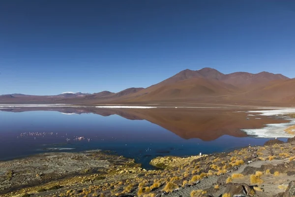 Laguna Colorada je fantastický jezero krvavě rudé barvy v Bolívii. — Stock fotografie