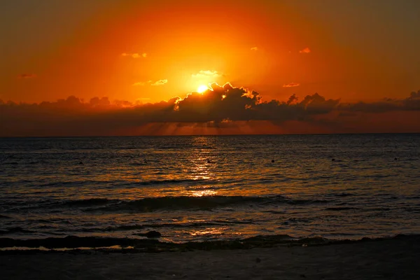 墨西哥科苏梅尔海滩落日 肤浅的焦点 — 图库照片