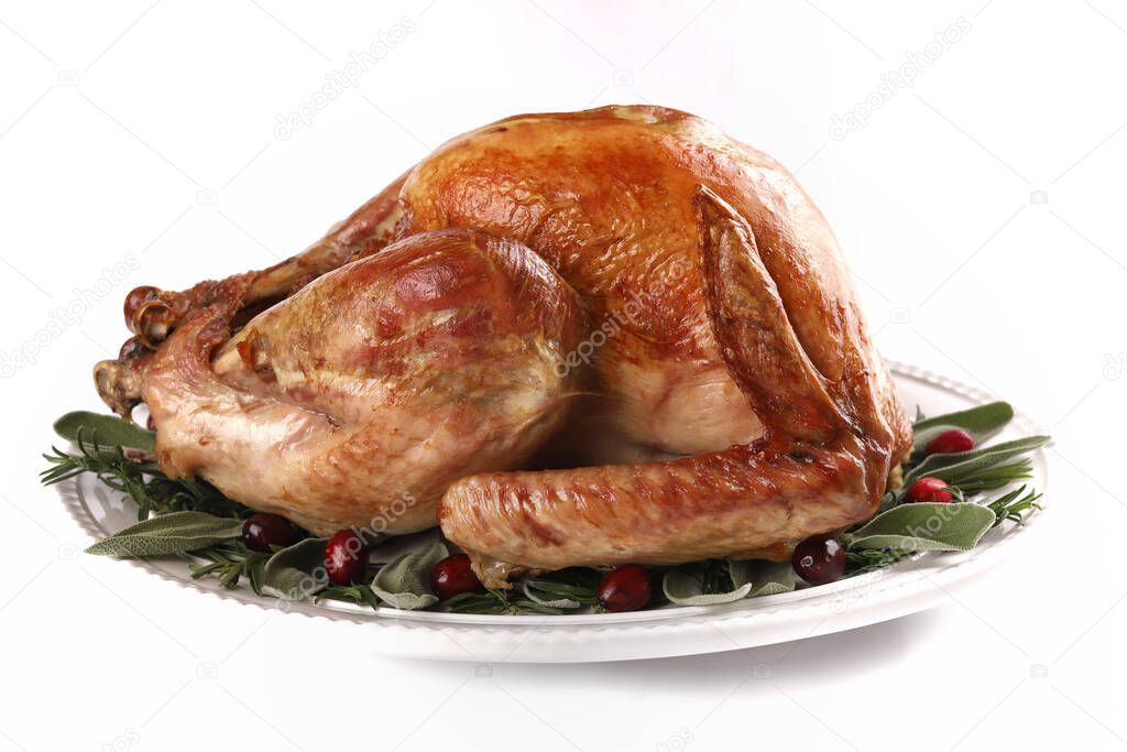 Roast turkey isolated on white background, shallow focus