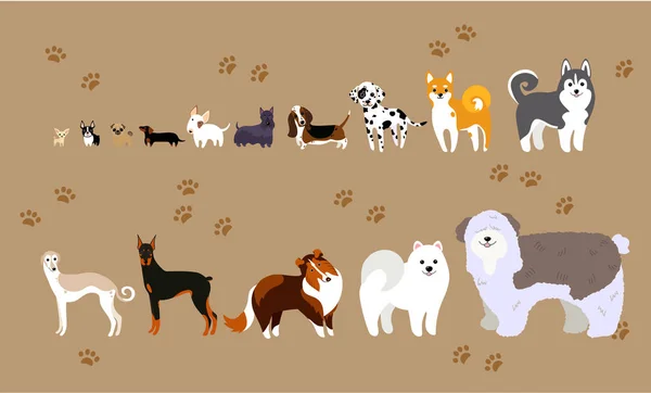 Chiens de dessins animés de différentes races — Image vectorielle