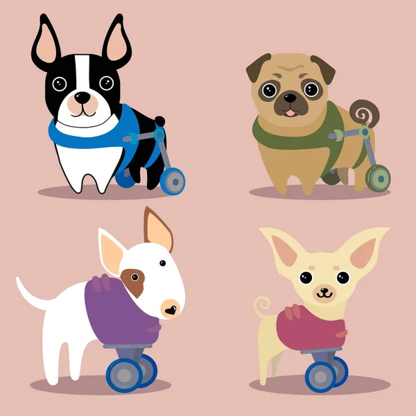 Set of handicapped disabled dogs — Stock Vector