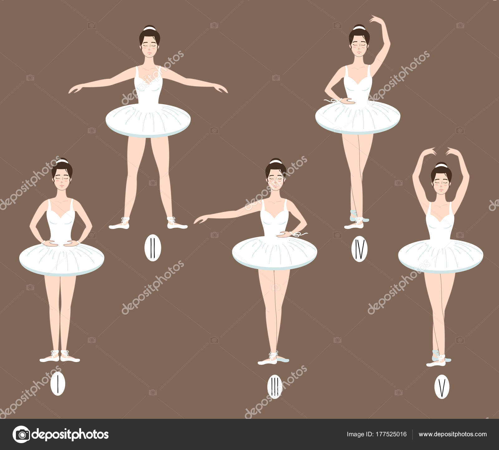 Dibujos de posiciones basicas