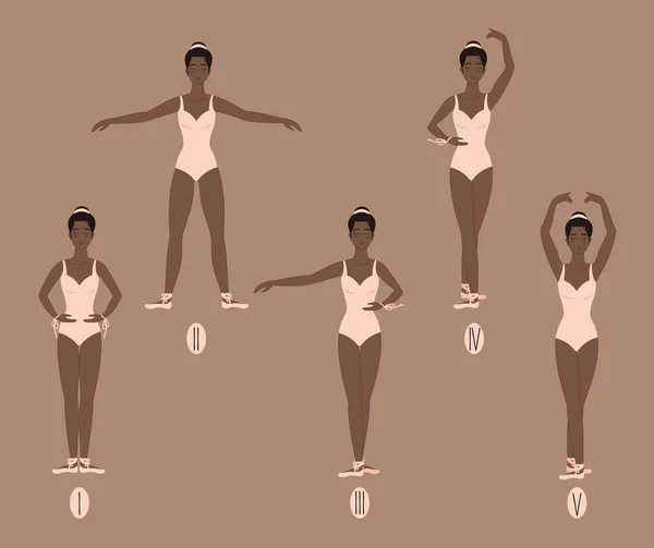 Jovem dançarina mostra as cinco posições básicas de balé e dança, com colocação correta de braços, pernas e pés —  Vetores de Stock