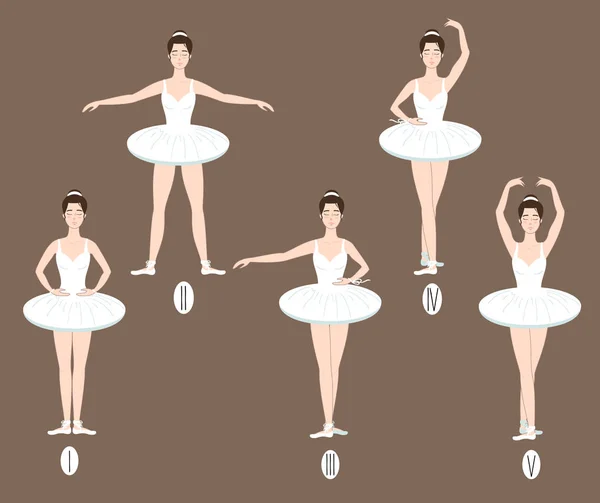 Young dancer shows the five basic ballet and dance positions, with correct placement of arms