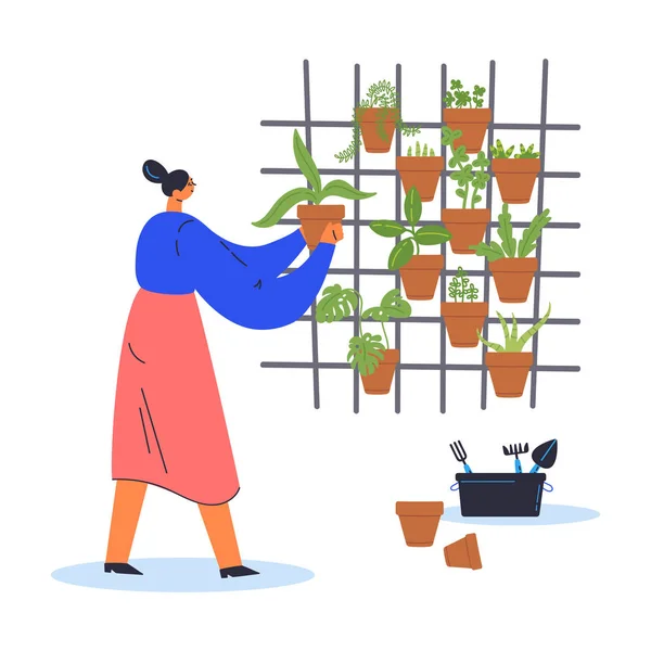 Konsepsi taman vertikal. Wanita menanam tanaman di pot - Stok Vektor