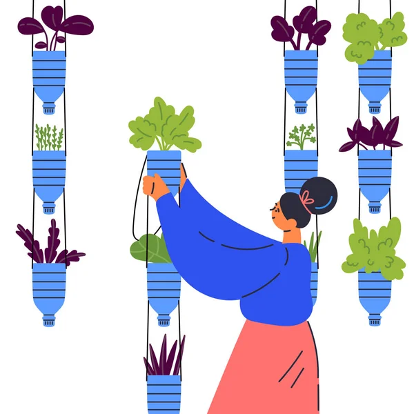 Konsepsi kebun vertikal. Wanita menumbuhkan tanaman - Stok Vektor