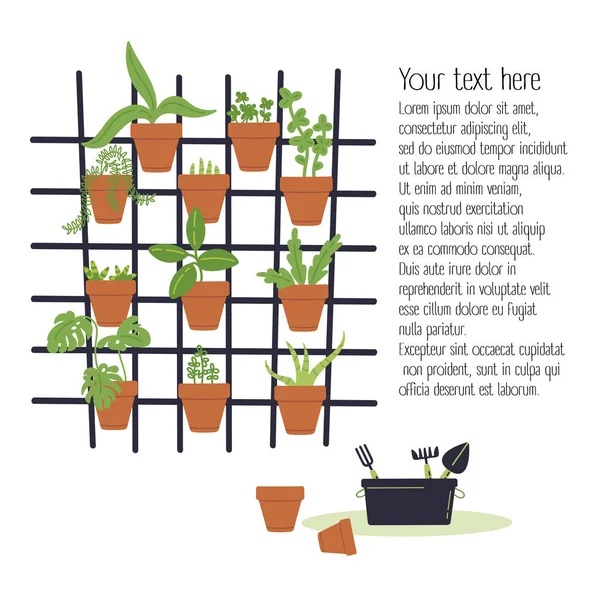 Concept de jardin vertical.Plantes poussent en pots — Image vectorielle