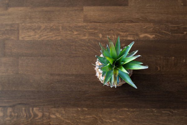 Pineapple on wooden table. Pineapple leaves. Food concept. Minimal fruit concept.