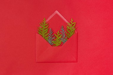 Kırmızı kağıdın üzerinde yeşil ladin dalları olan bir zarf. Noel konsepti