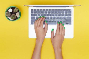 Düz kompozisyonda dizüstü bilgisayarda yeşil manikürlü kadın elleri ve sarı arka planda yeşil tencerede bir kaktüs vardı.