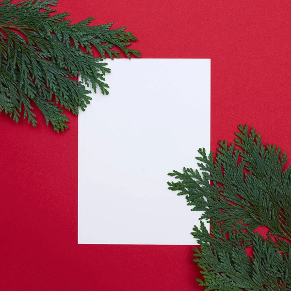 Dikey bir kartpostalın düz yatağı ve kırmızı arkaplanda ladin dalları. Noel konsepti — Stok fotoğraf