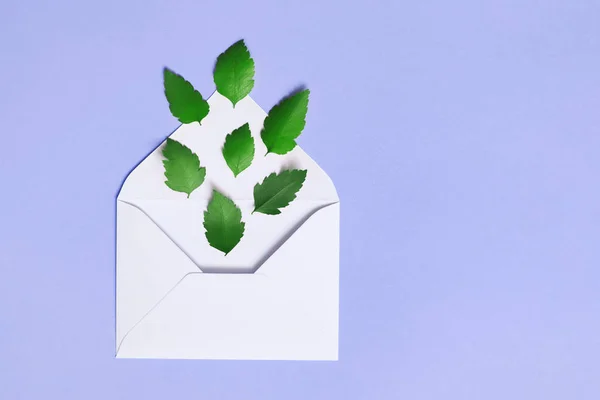 White envelope with green leaves flying up from it on the purple paper background. Spring concept — Stock Photo, Image