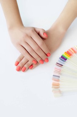 Moda mercan renkli, parlak manikürlü ve beyaz arka planda çok renkli paleti olan güzel kadın elleri.